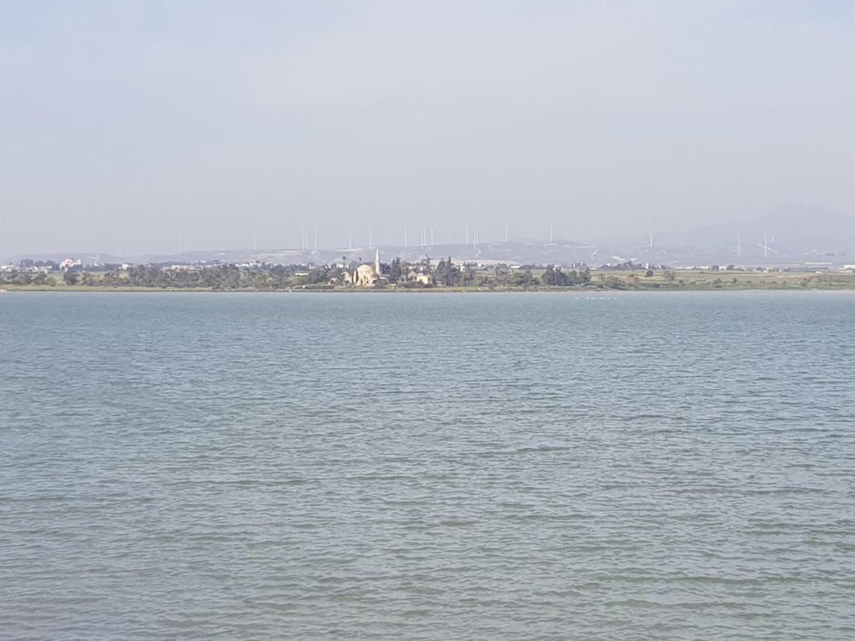 Haig'S Dream Flat On The Beach Larnaca Ngoại thất bức ảnh